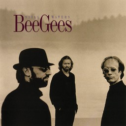 Still waters / Bee Gees | The Bee Gees
