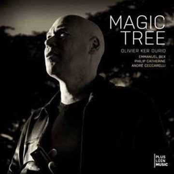 Magic tree / Olivier Ker Ourio, harmonica | Ker Ourio, Olivier. Musicien