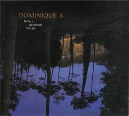 Reflets du monde lointain / Dominique A | Dominique A. (1968-). Chanteur